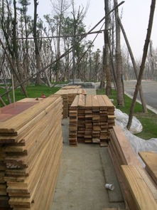 戶外防腐木地板 為庭院生活增添自然與耐久之美