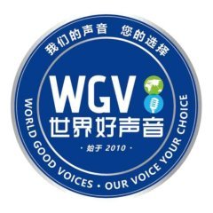 廣州金嗓音文化發(fā)展有限公司 文化傳媒新勢(shì)力的金嗓音