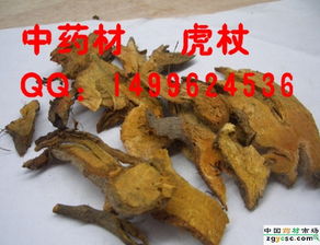 中藥材產業的多元脈絡 從產區到市場的價值躍遷