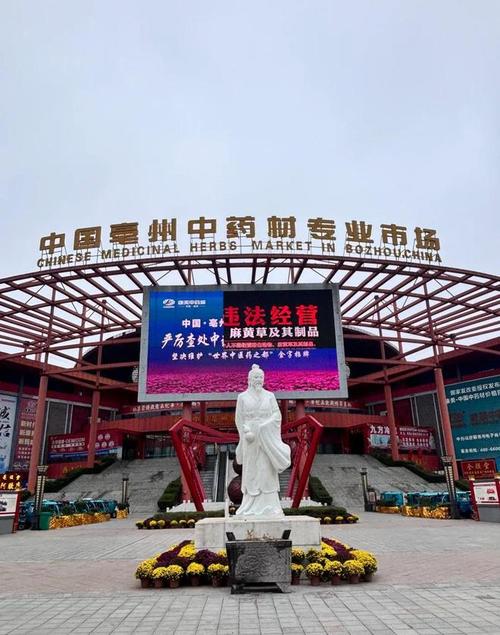 從央視曝光的馬錢子亂象看天麻、當歸等中藥材的銷售困局與破局之道