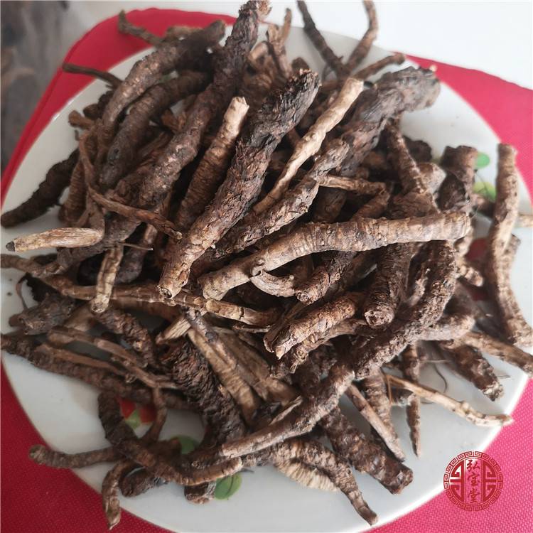 胡黃連批發(fā)價(jià)格多少錢一公斤？亳州祥剛中藥材種植專業(yè)合作社為您解析